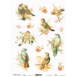 Papier ryżowy ITD A4 R1069, ptaszki